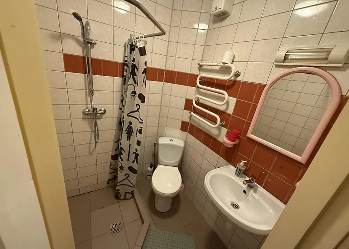 Homestay Virsutine 9 *