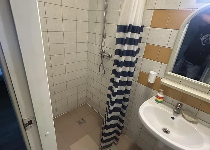 Homestay Virsutine 9 *