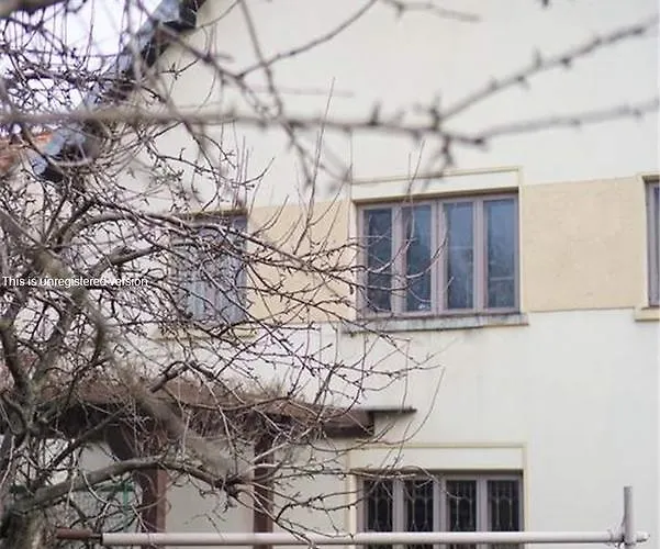 Homestay Virsutine 9