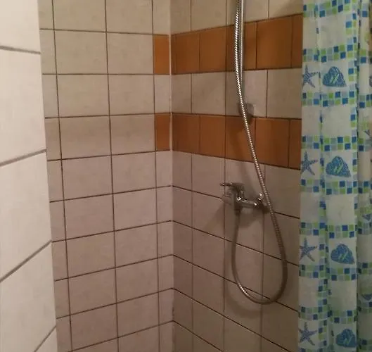 Homestay Virsutine 9