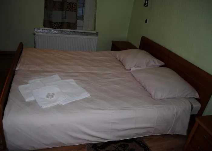 Homestay Virsutine 9 *